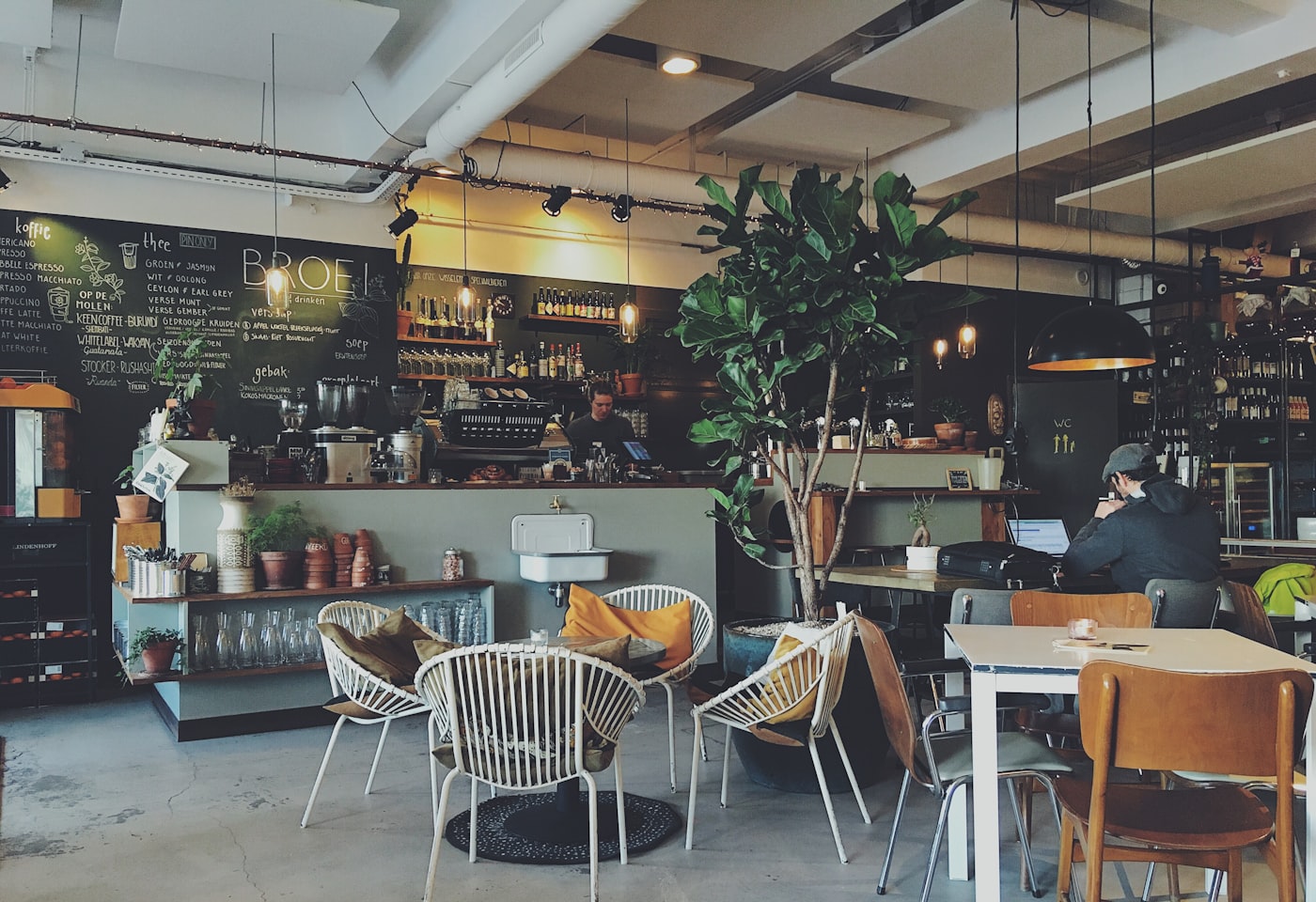 interior kedai kopi dengan kursi dan tanaman